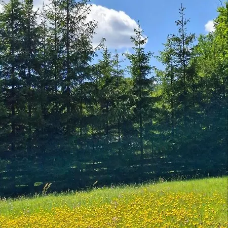 Goralski Beskid Sadecki Lodge Golkowice Dolne