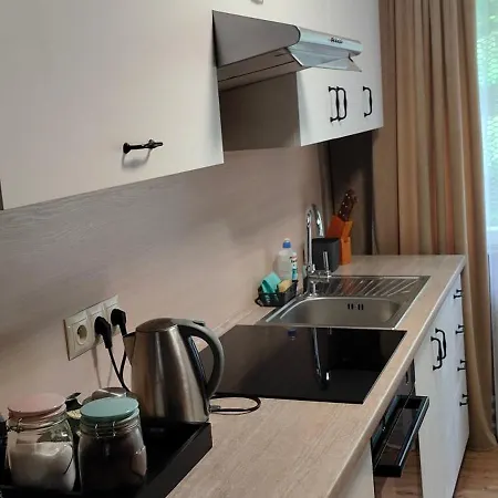 Goralski Beskid Sadecki Lodge *