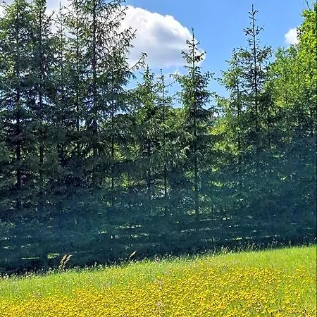 Góralski Beskid Sądecki Alojamento de Turismo Selvagem Golkowice Dolne